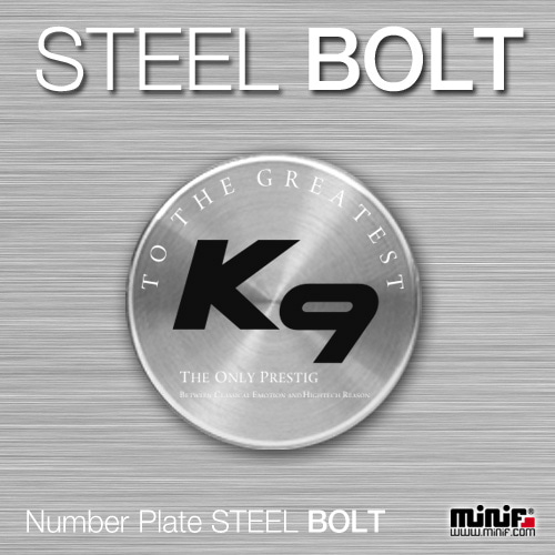 MFSB-11 K9 STEEL BOLT (3EA) 1 Set 번호판볼트(3개1세트)