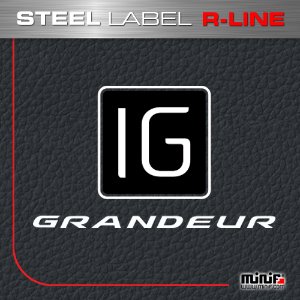 MFSL112 - IG GRANDEUR 그랜져IG R-LINE STEEL LABEL 주차알림판 /전화번호판