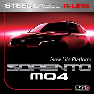 MFSL135 - 2020 SORENTO 쏘렌토 MQ4 R-LINE STEEL LaBEL 주차알림판 /전화번호판